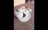 Dog driving car - Pomeranian driving small luxury car