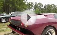 Lamborghini Diablo Charleston Car Videos